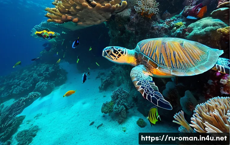 오만의 환경 보호 노력 관련 이미지 1