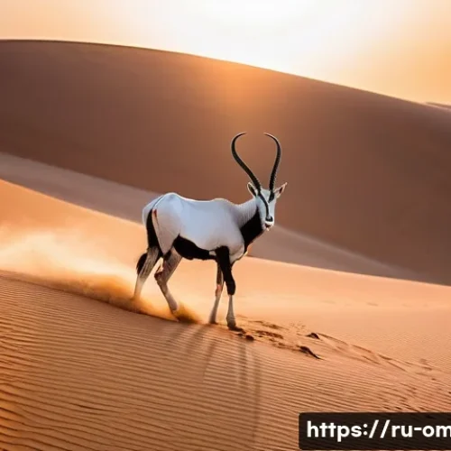 Home 25 오만의 생태계와 동식물 - **Prompt 1: "Ghost of the Dunes"**
A majestic Arabian Oryx, with pristine white fur and long, el...