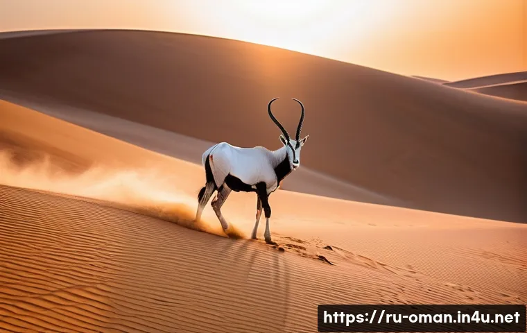 오만의 생태계와 동식물 - **Prompt 1: "Ghost of the Dunes"**
A majestic Arabian Oryx, with pristine white fur and long, el...