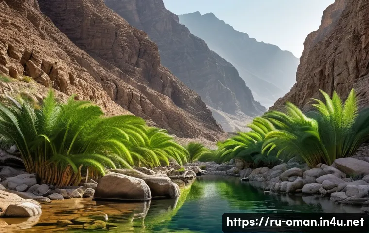 오만의 생태계와 동식물 관련 이미지 1