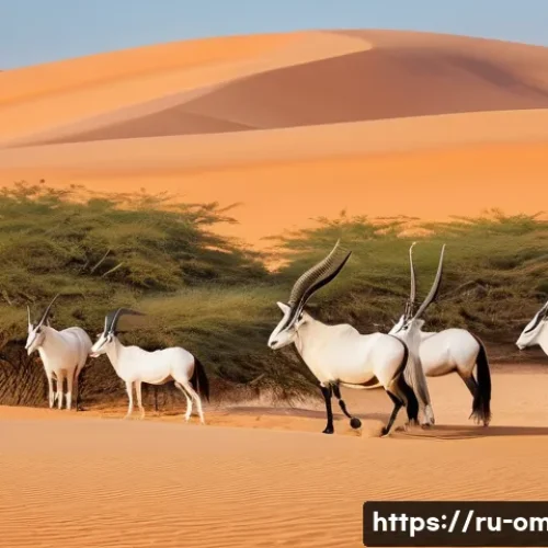 Home 12 오만 아라비안 오릭스 보호구역 - **Prompt:** A breathtaking panoramic view of the Arabian Oryx in their natural habitat within the va...