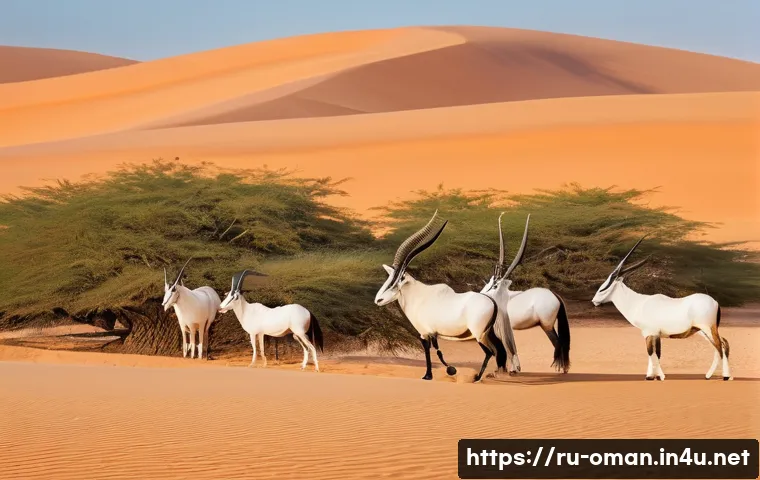 오만 아라비안 오릭스 보호구역 - **Prompt:** A breathtaking panoramic view of the Arabian Oryx in their natural habitat within the va...