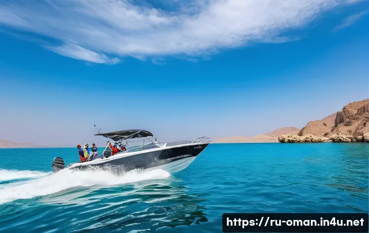 오만 돌고래 관찰 투어 관련 이미지 1